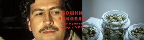 прущие крисы Гусь-Хрустальный