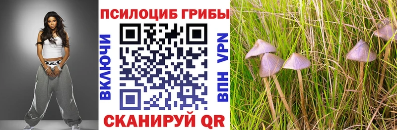 Псилоцибиновые грибы Psilocybe  ссылка на мегу ONION  Евпатория  наркошоп 